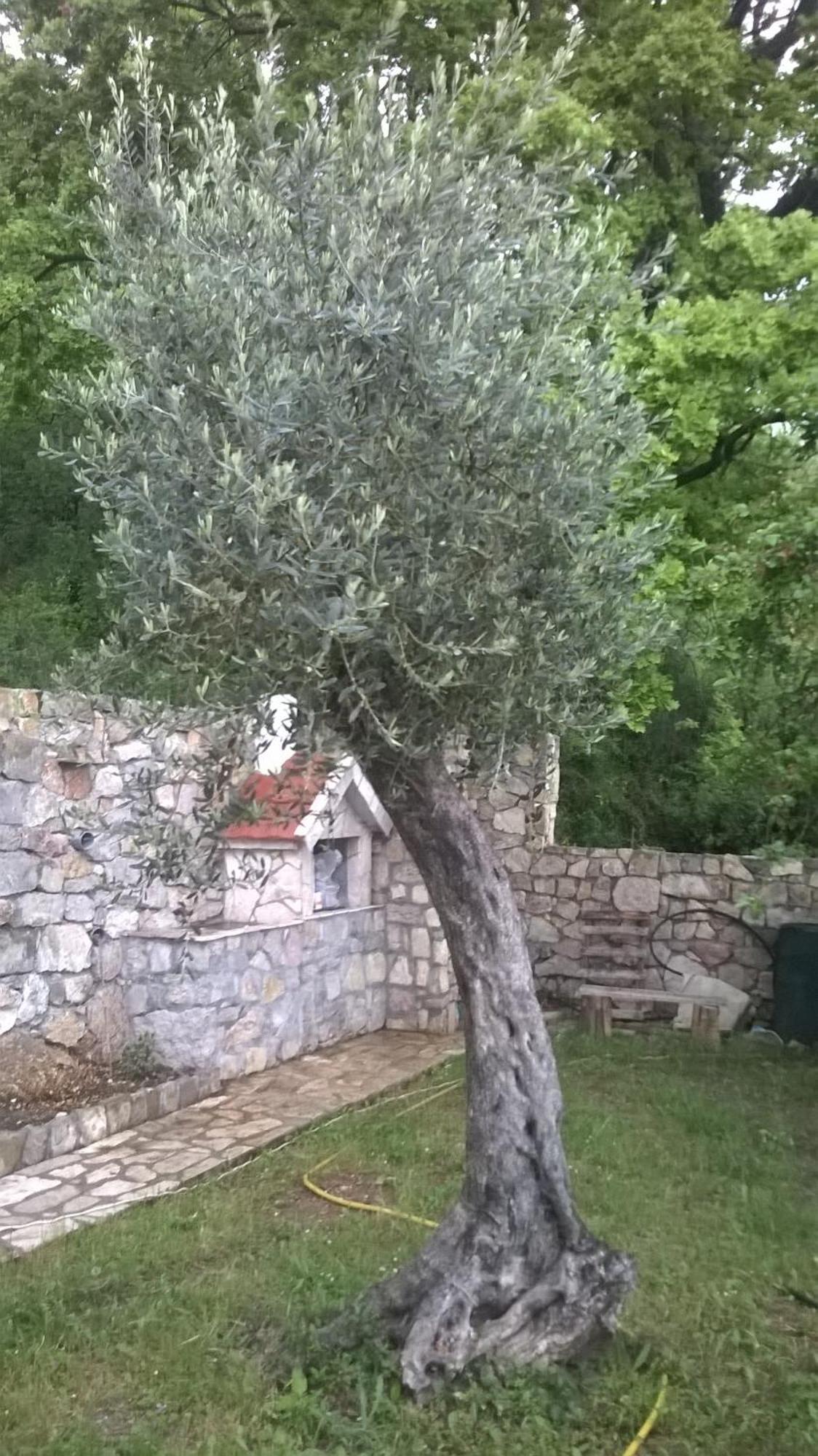 הוילה Petrovac House Stijepovic חדר תמונה